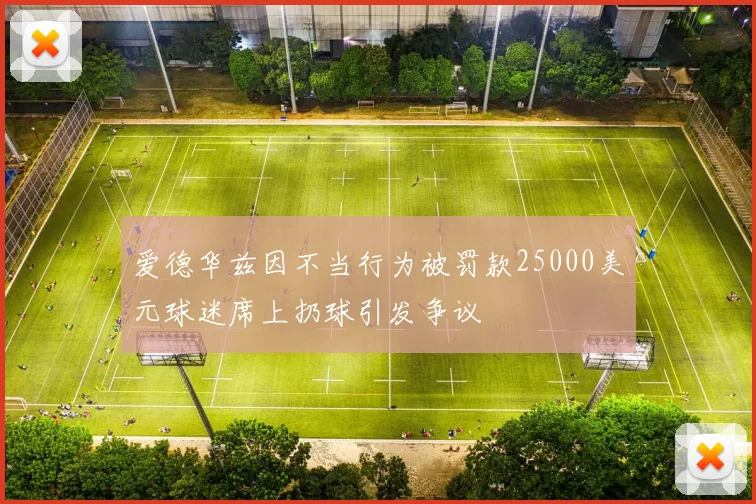 爱德华兹因不当行为被罚款25000美元球迷席上扔球引发争议