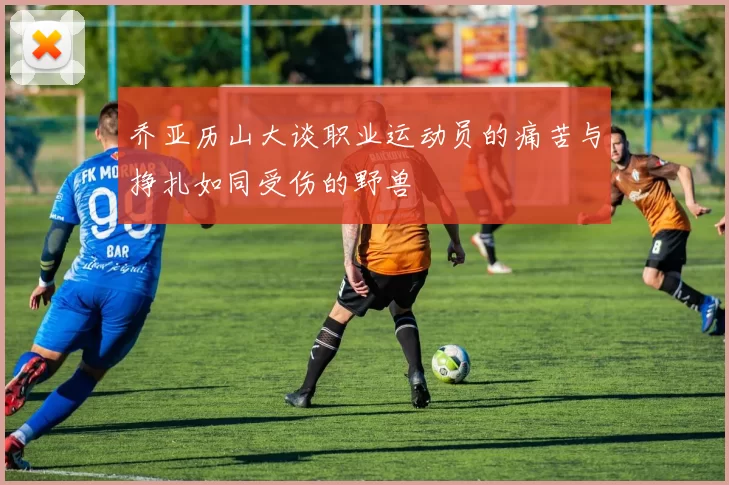 乔亚历山大谈职业运动员的痛苦与挣扎如同受伤的野兽